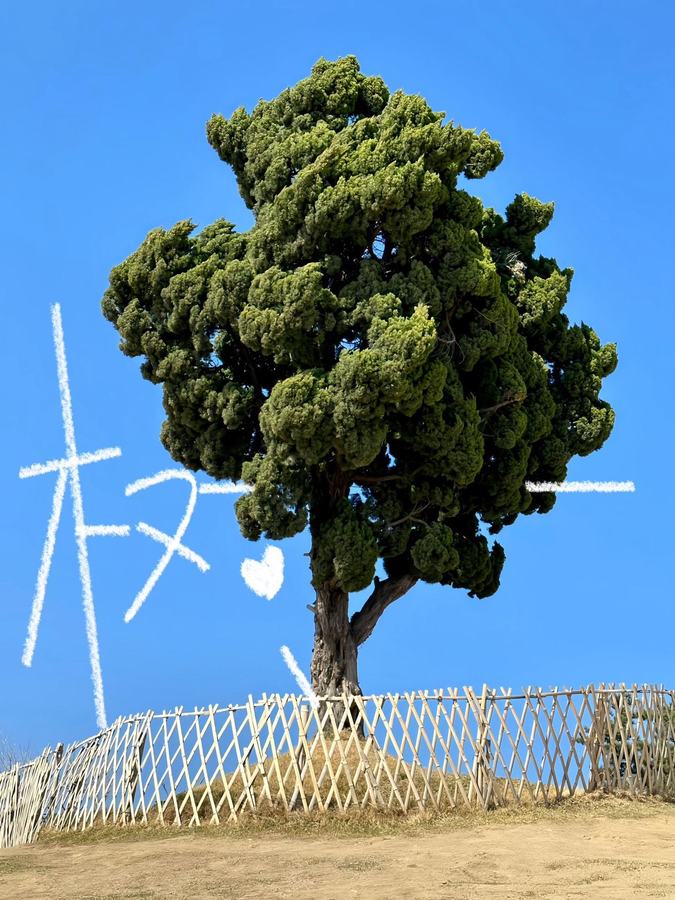 涂鸦让每一张照片都赋予了生命 第 1 张参考图