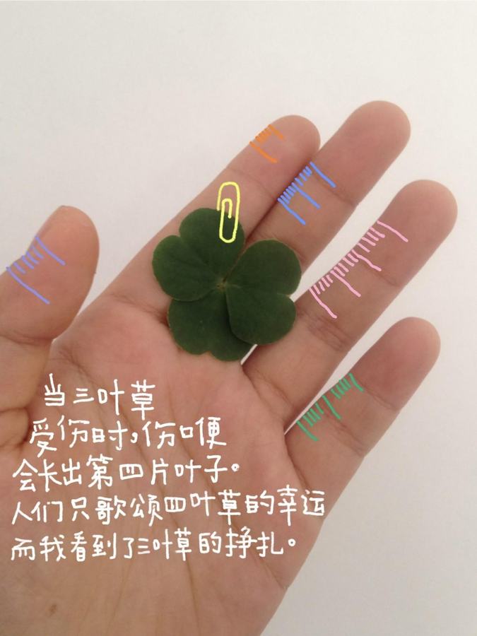 🍅涂鸦plog｜如此热爱生活的我们 第 5 张参考图