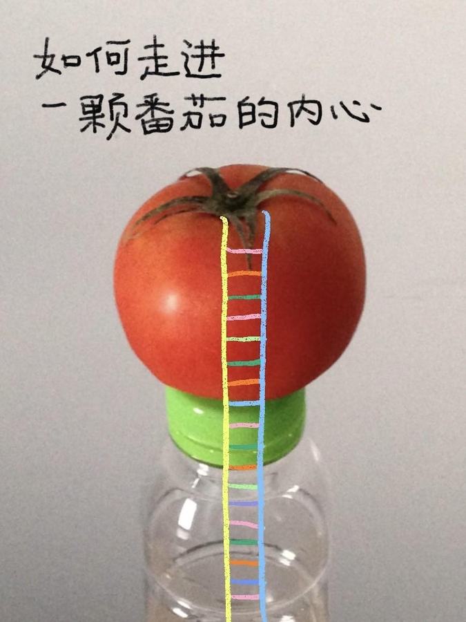 🍅涂鸦plog｜如此热爱生活的我们 第 9 张参考图