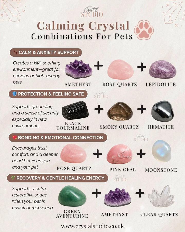 Crystals for pets 第 1 张参考图