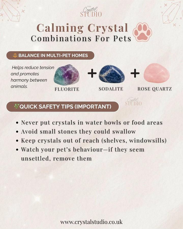 Crystals for pets 第 2 张参考图
