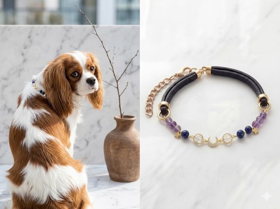 How to find the crystal your pet actually 第 2 张参考图