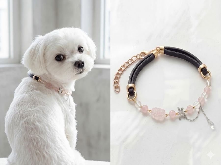 How to find the crystal your pet actually 第 4 张参考图