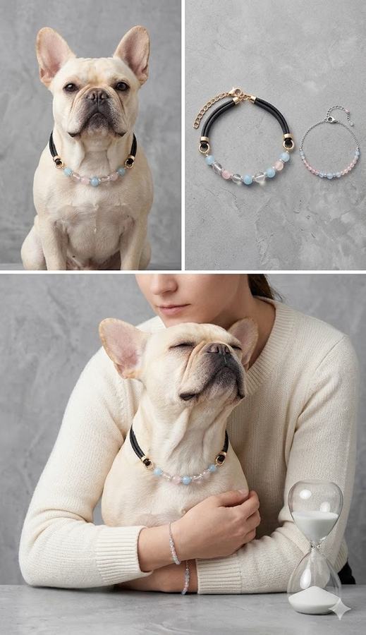 How to find the crystal your pet actually 第 3 张参考图