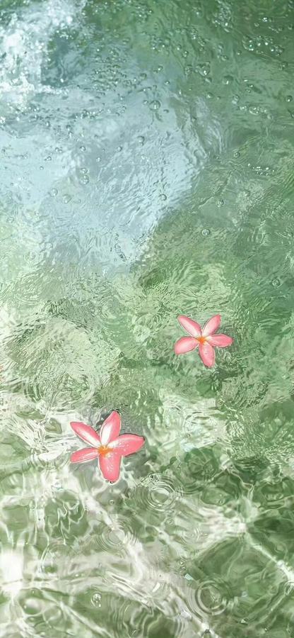 分享一组能量很好的高磁场壁纸，亲测用了一段时间，事业运嘎嘎好 第 4 张参考图