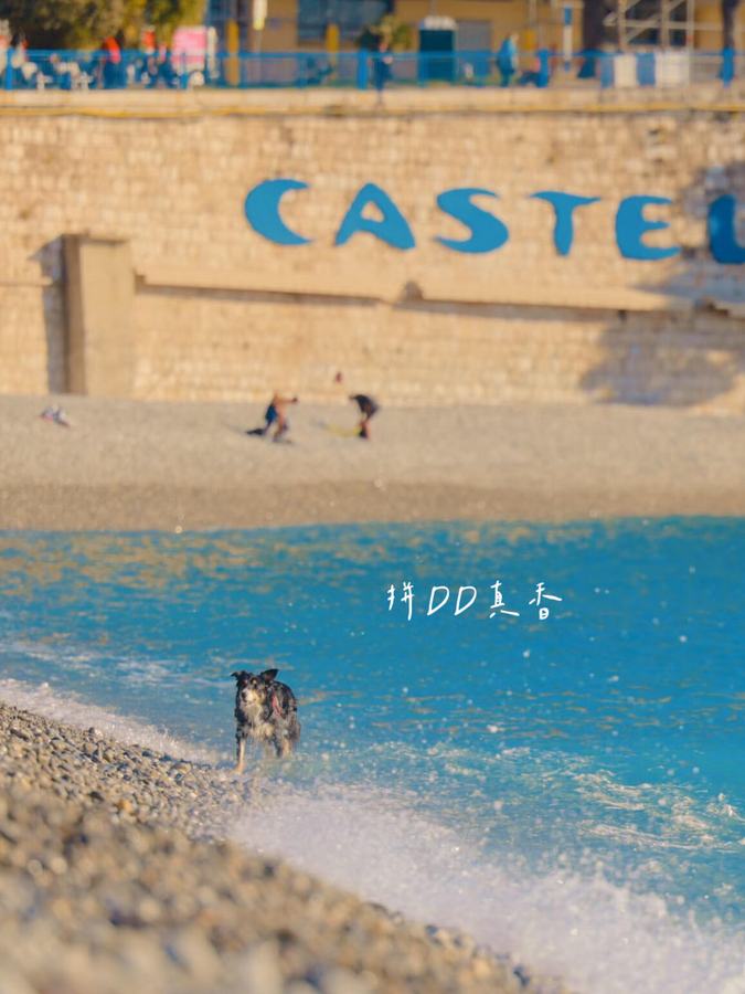 浪漫乌托邦🎡拼DD好物分享⛲️ 第 3 张参考图