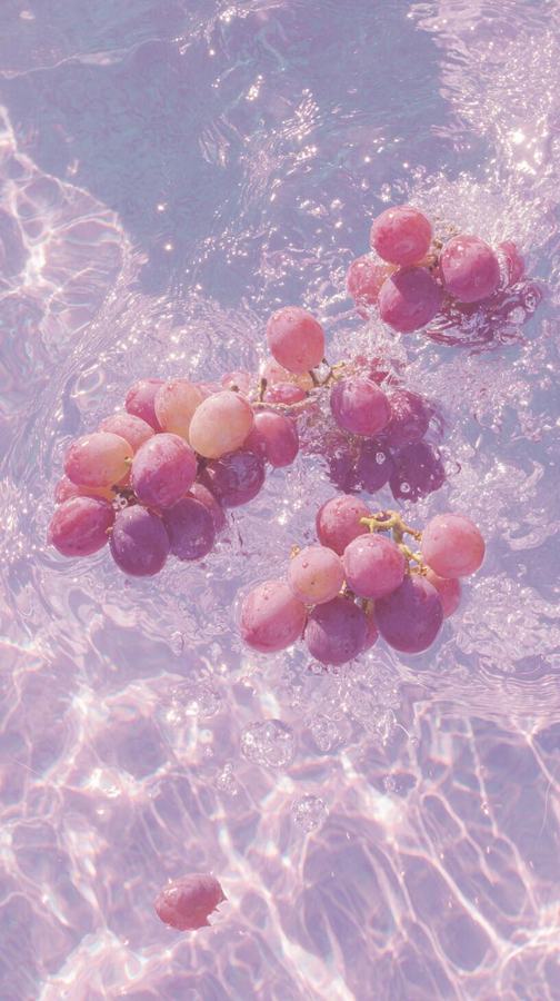 「𝚂𝚞𝚖𝚖𝚎𝚛 𝚂𝚙𝚕𝚊𝚜𝚑｜水果味夏天」 第 4 张参考图