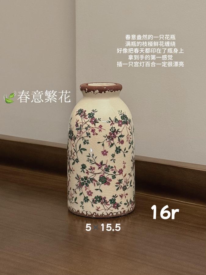 🌫️分享几个平价氛围感小花瓶 第 6 张参考图